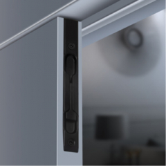 Door bolts